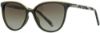 Picture of INVU Sunglasses INVU- 239