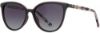Picture of INVU Sunglasses INVU- 239