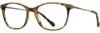 Picture of Scott Harris Eyeglasses SH-X 007