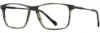 Picture of Scott Harris Eyeglasses SH-X 008