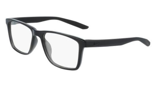 Picture of Nike Eyeglasses 7300