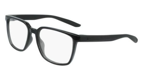 Picture of Nike Eyeglasses 7302