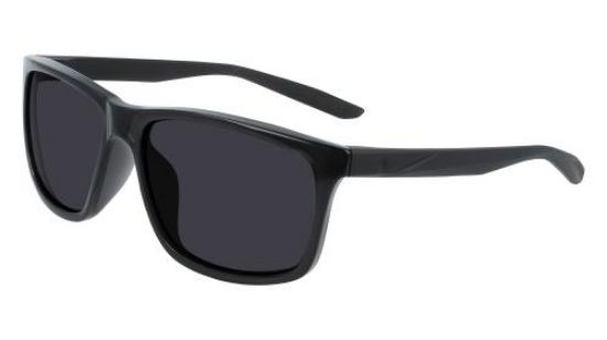 Picture of Nike Sunglasses CHASER ASCENT DJ9918