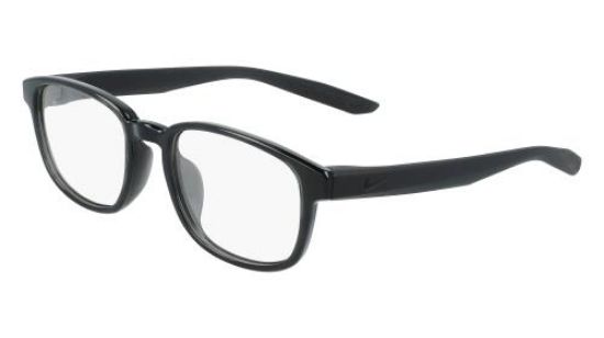 Picture of Nike Eyeglasses 5031