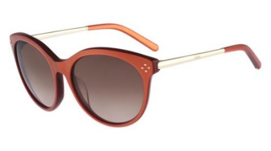 Picture of Chloe Sunglasses CE641S