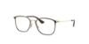 Picture of Ray Ban Eyeglasses RY1056