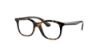 Picture of Ray Ban Eyeglasses RY1604