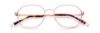 Picture of Paradigm Eyeglasses 21-01
