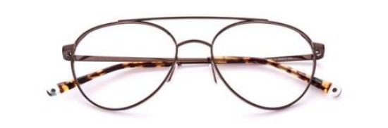 Picture of Paradigm Eyeglasses 21-03