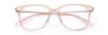 Picture of Paradigm Eyeglasses 21-04