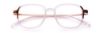 Picture of Paradigm Eyeglasses 21-09