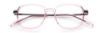 Picture of Paradigm Eyeglasses 21-09