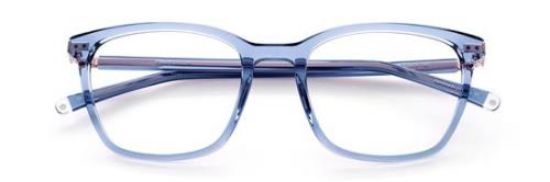 Picture of Paradigm Eyeglasses 19-22