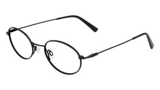 Picture of Flexon Eyeglasses H6040