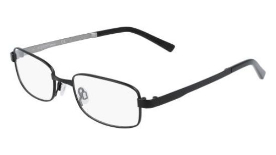 Picture of Flexon Eyeglasses J4009