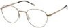 Picture of Moleskine Eyeglasses MO 2134