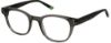 Picture of Psycho Bunny Eyeglasses PB 117
