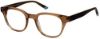 Picture of Psycho Bunny Eyeglasses PB 117