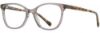 Picture of Scott Harris Eyeglasses SH-734