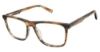 Picture of Champion Eyeglasses SNAG