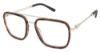 Picture of Champion Eyeglasses RALLY
