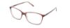 Picture of Bcbgmaxazria Eyeglasses KAYDEN