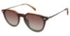 Picture of Tlg Eyeglasses NUCP049