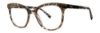 Picture of Vera Wang Eyeglasses V584