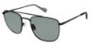 Picture of Ben Sherman Sunglasses BARKING