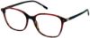 Picture of Moleskine Eyeglasses MO 1161