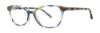 Picture of Vera Wang Eyeglasses V581