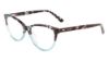 Picture of Calvin Klein Eyeglasses CK21519