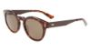 Picture of Calvin Klein Sunglasses CK21527S
