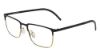 Picture of Flexon Eyeglasses B2034