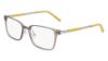 Picture of Flexon Eyeglasses EP8007