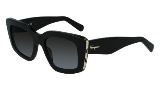 Picture of Salvatore Ferragamo Sunglasses SF1024S
