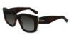 Picture of Salvatore Ferragamo Sunglasses SF1024S