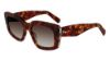 Picture of Salvatore Ferragamo Sunglasses SF1024S