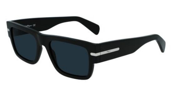 Picture of Salvatore Ferragamo Sunglasses SF1030S