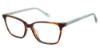 Picture of Sperry Eyeglasses BIRCH