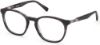 Picture of Harley Davidson Eyeglasses HD0907