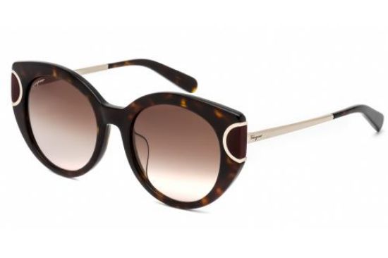 Picture of Salvatore Ferragamo Sunglasses SF840SA