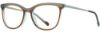 Picture of Scott Harris Eyeglasses SH-802