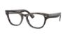 Picture of Ray Ban Eyeglasses RX2201V