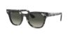 Picture of Ray Ban Sunglasses RB2168