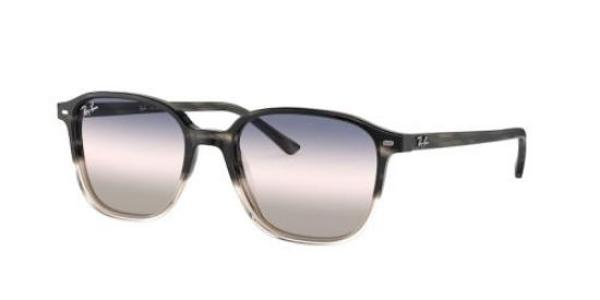 Picture of Ray Ban Sunglasses RB2193