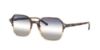 Picture of Ray Ban Sunglasses RB2194
