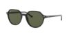 Picture of Ray Ban Sunglasses RB2195