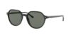 Picture of Ray Ban Sunglasses RB2195