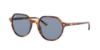 Picture of Ray Ban Sunglasses RB2195